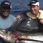 Pacific Sailfish