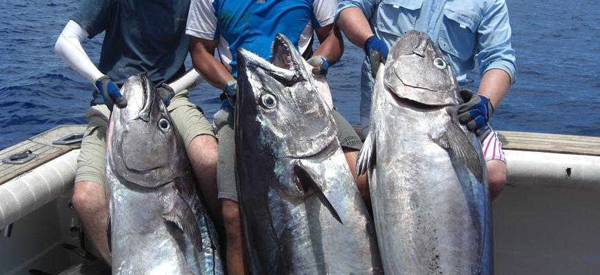 Dogtooth Tuna deep jigging on Kadavu Seamount from Bite Me