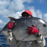 Giant Trevally (GTs)