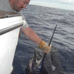 Pacific Sailfish on Bite Me Gamefishing Charter, Fiji